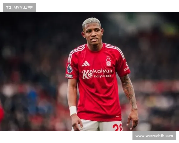 诺丁汉森林2-1布莱顿,主场延续强势表现